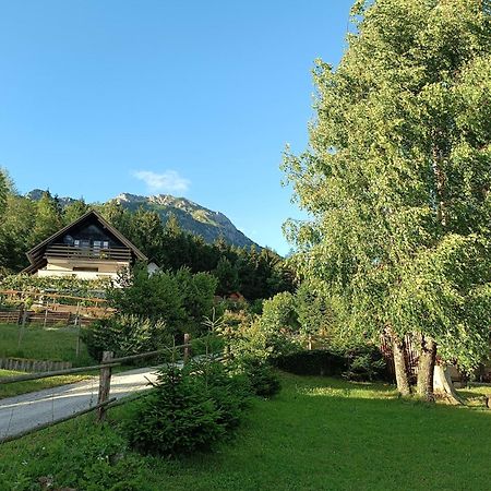 Kralj Matjaz - The Green Escape Under Alps Golnik Exterior foto