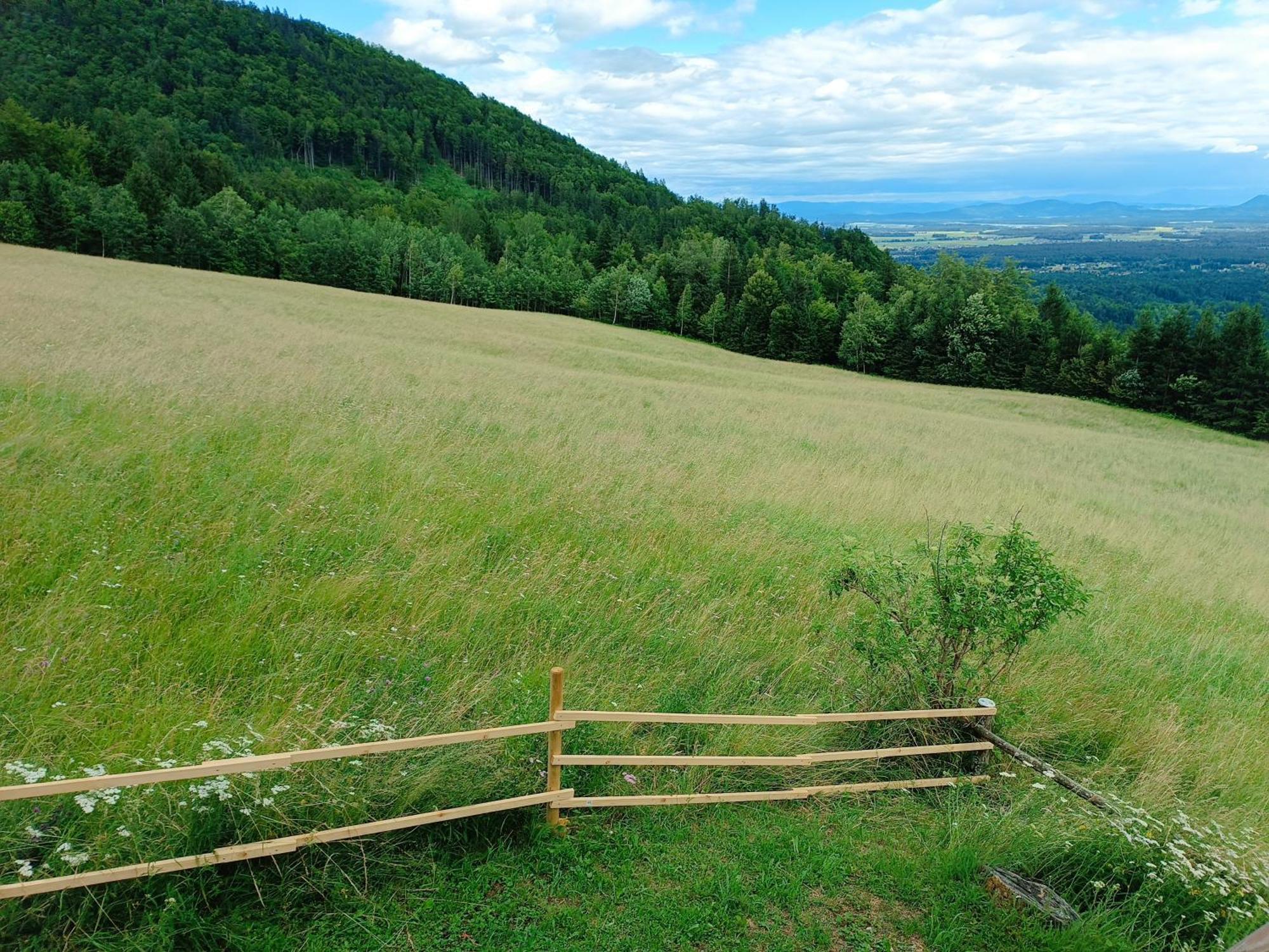 Kralj Matjaz - The Green Escape Under Alps Golnik Exterior foto
